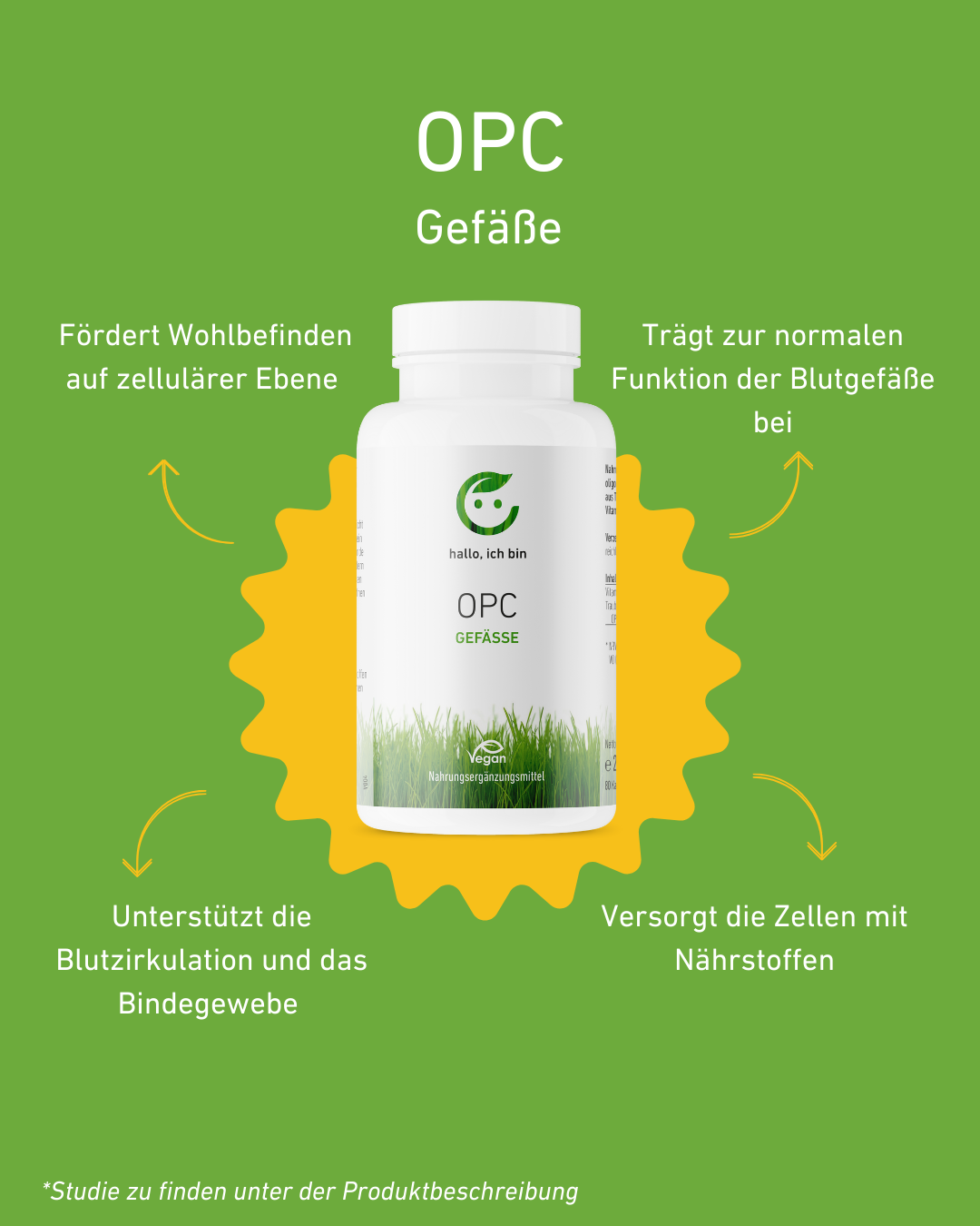 Bestes OPC Produkt, Nahrungsergänzung, Kapsel, Vitamin C. Anti Aging, Herz Kreislauf, Traubenkerne, Antioxidativ, Schutz, Maximale Wirkung, Vorteile, Immunsystem, Hautpflege, Gefäßgesundheit, Supplement, Gesundheit, Inhaltsstoffe, Liste Inhaltsstoffe, Polyphenole, Acerola, Acerolaextrakt, stimulierende Pflanzenextrakte, Qualität, Apotheke, studienbasiert, österreichische Wertschöpfung, Österreich, Blutgefäße, Wohlbefinden, Blutzirkulation, Bindegewebe
