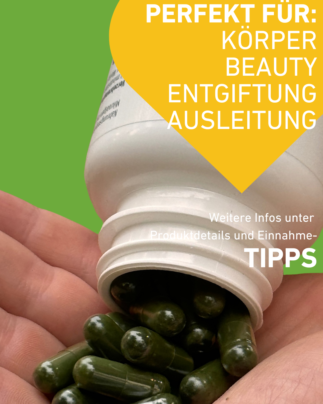Chlorella Superfood Kapseln für Detox und Energie – hochwertige Algenpräparat, Vitaminen und Mineralien, Immunsystems, Detox, Energie und Hautgesundheit, vegane, vegetal, nachhaltig, Chlorophyll, Supplement, apothekenqulität, Entgiftung, Gesundheit, Wirkung, Algen, Immunabwehr, Cholesterin, regional, Apotheke, Apothekenqualität, Qualität, Superfood, Österreich, Einnahmetipps, Produktdetails, Einnahme