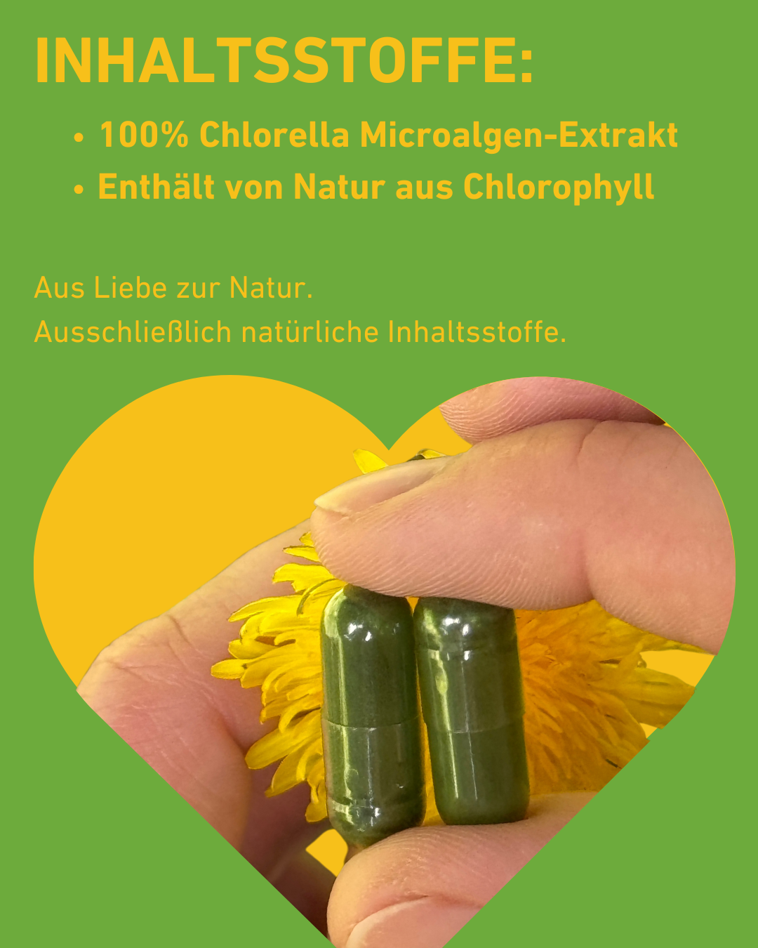 Chlorella Superfood Kapseln für Detox und Energie – hochwertige Algenpräparat, Vitaminen und Mineralien, Immunsystems, Detox, Energie und Hautgesundheit, vegane, vegetal, nachhaltig, Chlorophyll, Supplement, apothekenqulität, Entgiftung, Gesundheit, Wirkung, Algen, Immunabwehr, Cholesterin, regional, Apotheke, Apothekenqualität, Qualität, Superfood, Inhaltsstoffe, Natur, natürliche Inhaltsstoffe