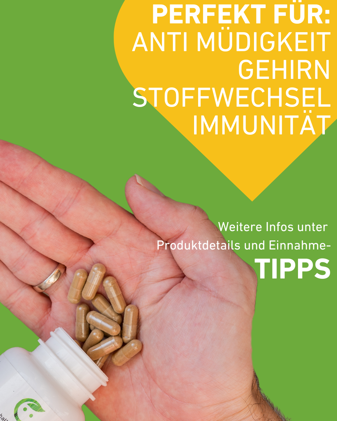 Eisen Kapseln für normale Blutbildung und gesunden Energiestoffwechsel, Eisenmangel bekämpfen mit Eisenpräparat für Energie, Frauen, Curryblatt-Extrakt, Eisenbisglycinat Chelat, natürlich, Wirkung, Supplement, Hochdosiert, Gesundheit, Apotheke, Eisenmangel, Bioverfügbarkeit, gute Verträglichkeit, Sauerstofftransport, Müdigkeit, Erschöpfung, Einnahmetipps, Produktdetails, Gehirn, Immunität