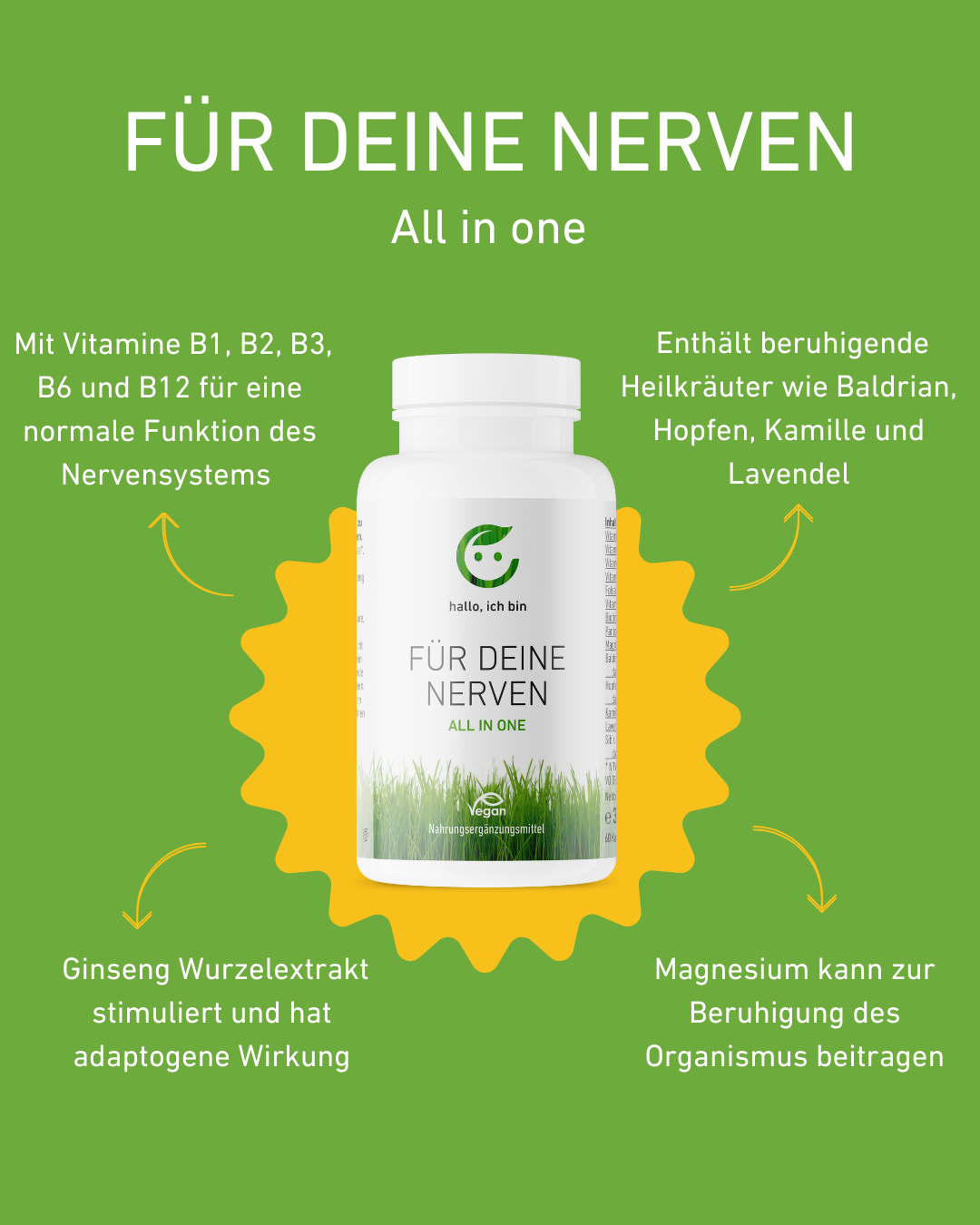 Für Deine Nerven, hochdosierte Kapsel, Nahrungsergänzungsmittel mit Ginseng und Vitamin B12 für Energie und Fokus, Ginseng und Vitamin B Komplex für Nervenstärke und Stressabbau, Nervensystem, Energie, Erschöpfung, Konzentration, Wirkung, beruhigende Heilkräuter wie Baldrian, Hopfen, Kamille und Lavendel, Supplement, Gesundheit, Nerven, Ginseng, Nervensystem, beruhigende Heilkräuter, Beruhigung