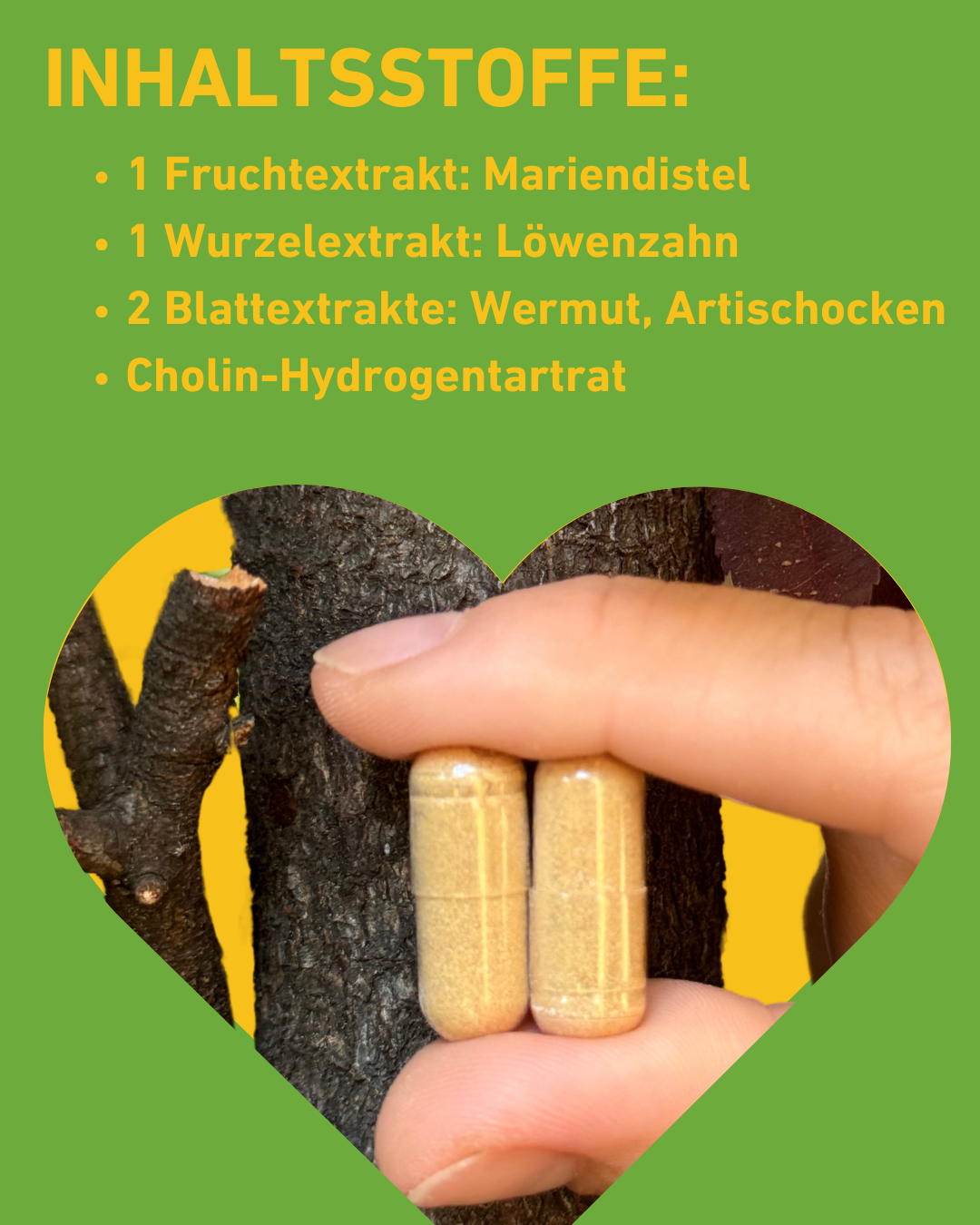 Lebergesundheit Supplement Kapseln mit Artischockenextrakt, Mariendistel, Löwenzahnwurzel und Antioxidantien zur Unterstützung der Leberfunktion und Entgiftung, Lebergesundheit, Entgiftung, Detox, Schutz, Lebererkrankungen, Wermut, Cholin, Apothekenqualität, Hochdosiert, Wirkung, Supplement, Apotheke, Regional, Österreich, Gesundheit, Qualitätsversprechen, studienbasiert