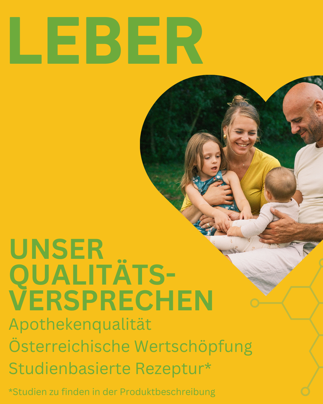 Lebergesundheit Supplement Kapseln mit Artischockenextrakt, Mariendistel, Löwenzahnwurzel und Antioxidantien zur Unterstützung der Leberfunktion und Entgiftung, Lebergesundheit, Entgiftung, Detox, Schutz, Lebererkrankungen, Wermut, Cholin, Apothekenqualität, Hochdosiert, Wirkung, Supplement, Apotheke, Regional, Österreich, Gesundheit, Qualitätsversprechen, studienbasiert