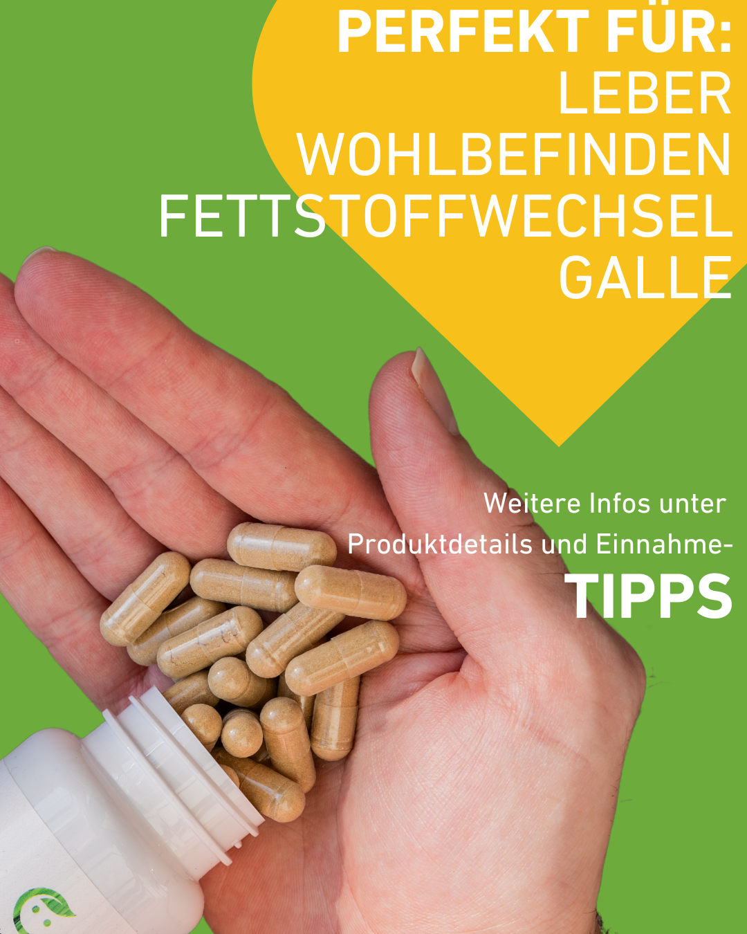 Lebergesundheit Supplement Kapseln mit Artischockenextrakt, Mariendistel, Löwenzahnwurzel und Antioxidantien zur Unterstützung der Leberfunktion und Entgiftung, Lebergesundheit, Entgiftung, Detox, Schutz, Lebererkrankungen, Wermut, Cholin, Apothekenqualität, Hochdosiert, Wirkung, Supplement, Apotheke, Regional, Österreich, Gesundheit, Qualitätsversprechen, studienbasiert, Einnahme, Produktdetails, Einnahmetipps, Wohlbefinden, Galle