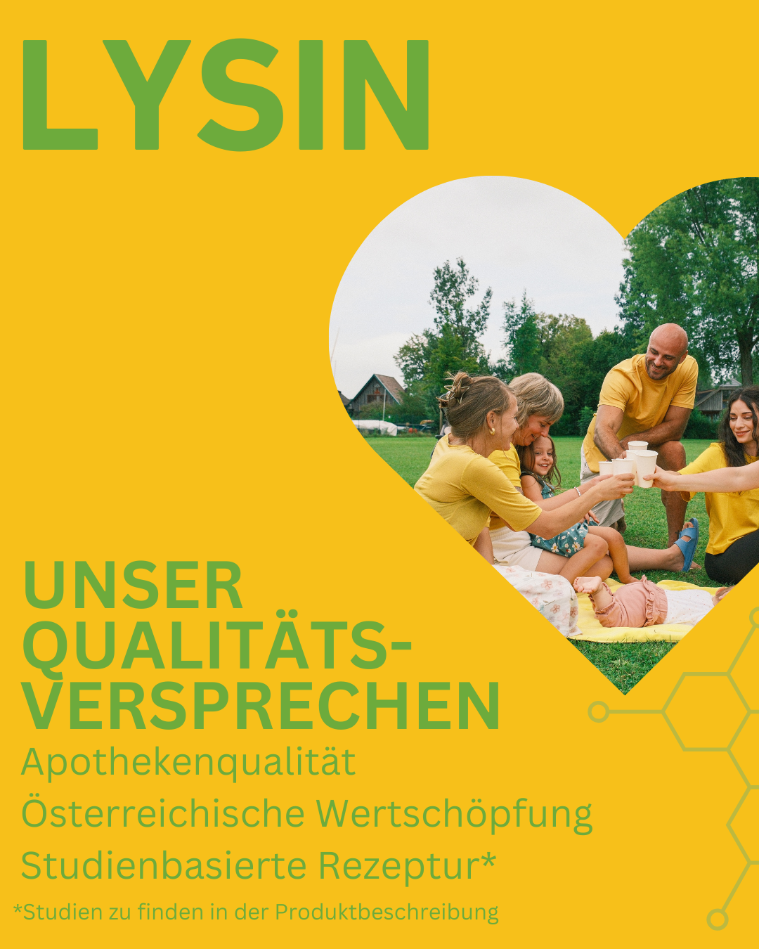 Lysin Kapseln hochdosiert für Immunstärkung und Hautgesundheit, Herpes, Fieberblase, Viropel, Immunsystems, Wundheilung, Zink, Vitamin C, Supplement, Gesundheit, Apothekenqualität, Lippe, Behandlung, Supplement, Apotheke, Immunsystem, Immunität, Qualität, regional, Österreich, österreichsiche Wertschöpfung, studienbasiert