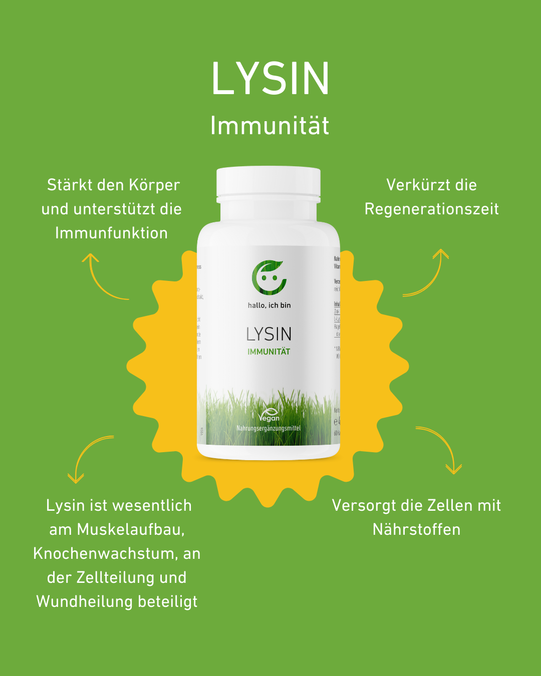 Lysin Kapseln hochdosiert für Immunstärkung und Hautgesundheit, Herpes, Fieberblase, Viropel, Immunsystems, Wundheilung, Zink, Vitamin C, Supplement, Gesundheit, Apothekenqualität, Lippe, Behandlung, Supplement, Apotheke, Immunsystem, Immunität, Regenerationszeit, Muskelaufbau, Knochenwachstum, Immunfunktion, Nährstoffe