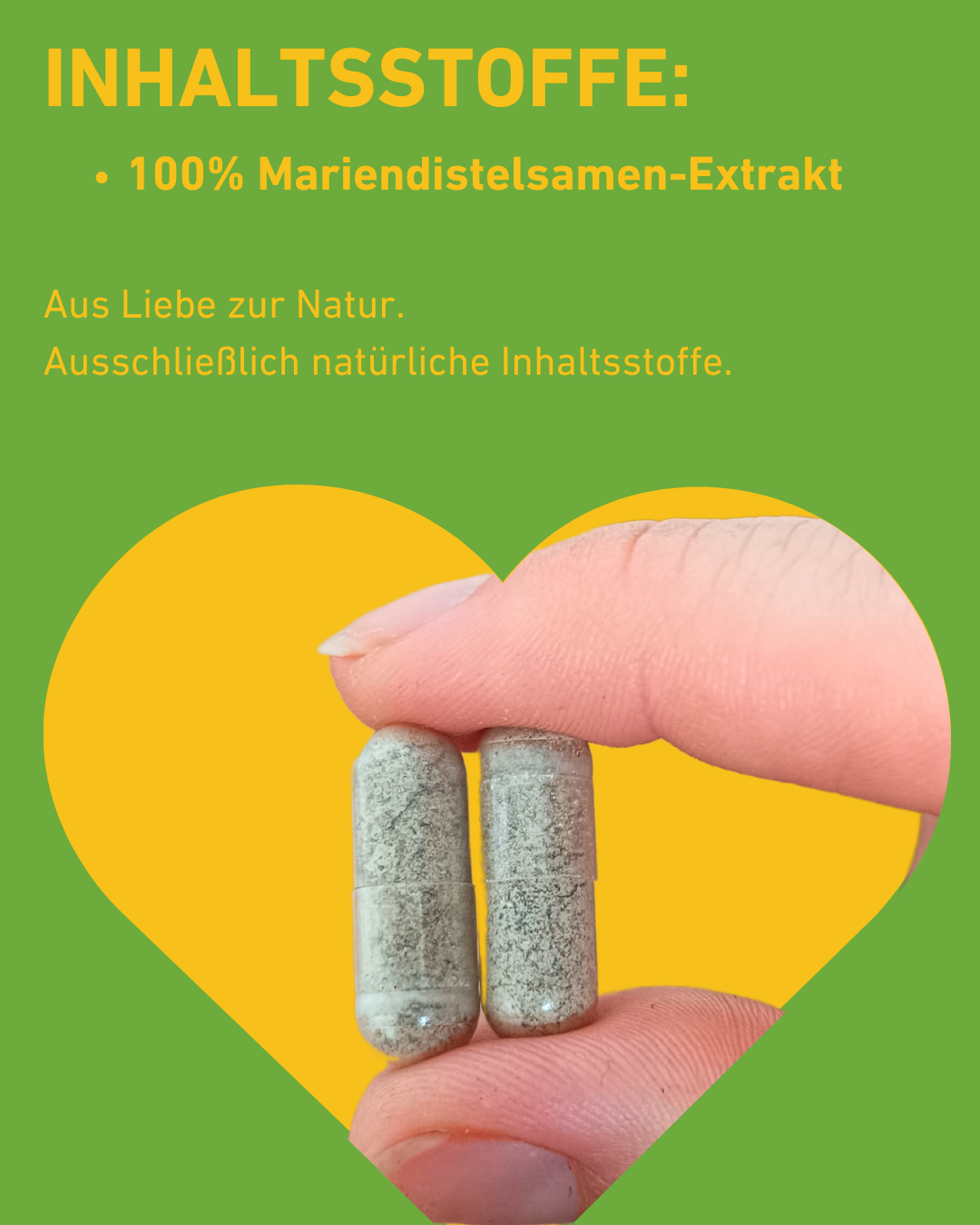 Mariendistel Kapseln hochdosiert für die Lebergesundheit, natürliche Unterstützung der Leber mit Silymarin, gegen Leberentzündungen, Entgiftung und toxische Belastungen, Lebergesundheit Fettstoffwechselstörungen, Antioxidative Wirkung von Mariendistel-Extrakt für die Leber, Mariendistel Leberentgiftung, Silymarin, Wirkung, Leberregeneration unterstützen, Detox, Supplement, Gesundheit, Inhaltsstoffe, Natur, natürliche Inhaltsstoffe, Supplement