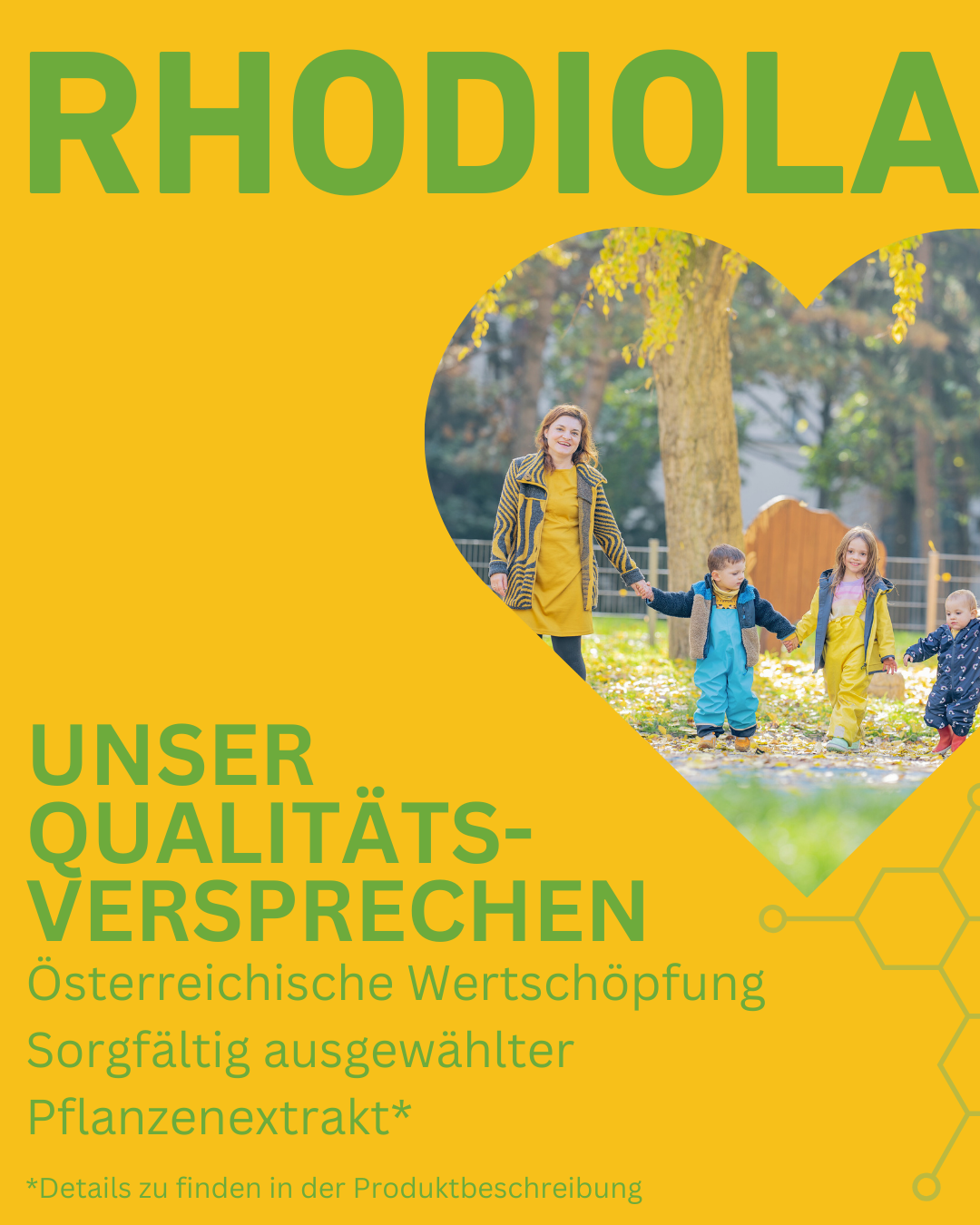 Rhodiola Kapseln gegen Stress, natürliche Nahrungsergänzungsmittel, Adaptogene für mentale Gesundheit, Goldene Wurzel Vorteile, Müdigkeit bekämpfen, Stressmanagement und Energie, Fokus, Ausdauer, kaufen, Stress, Gesundheit, Supplement, Inhaltsstoffe, Rhodiola Extrakt, natürliche Inhaltsstoffe, reine Extrakte. Qualität, Qualitätsversprechen, Österreich, österreichische Wertschöpfung, regional