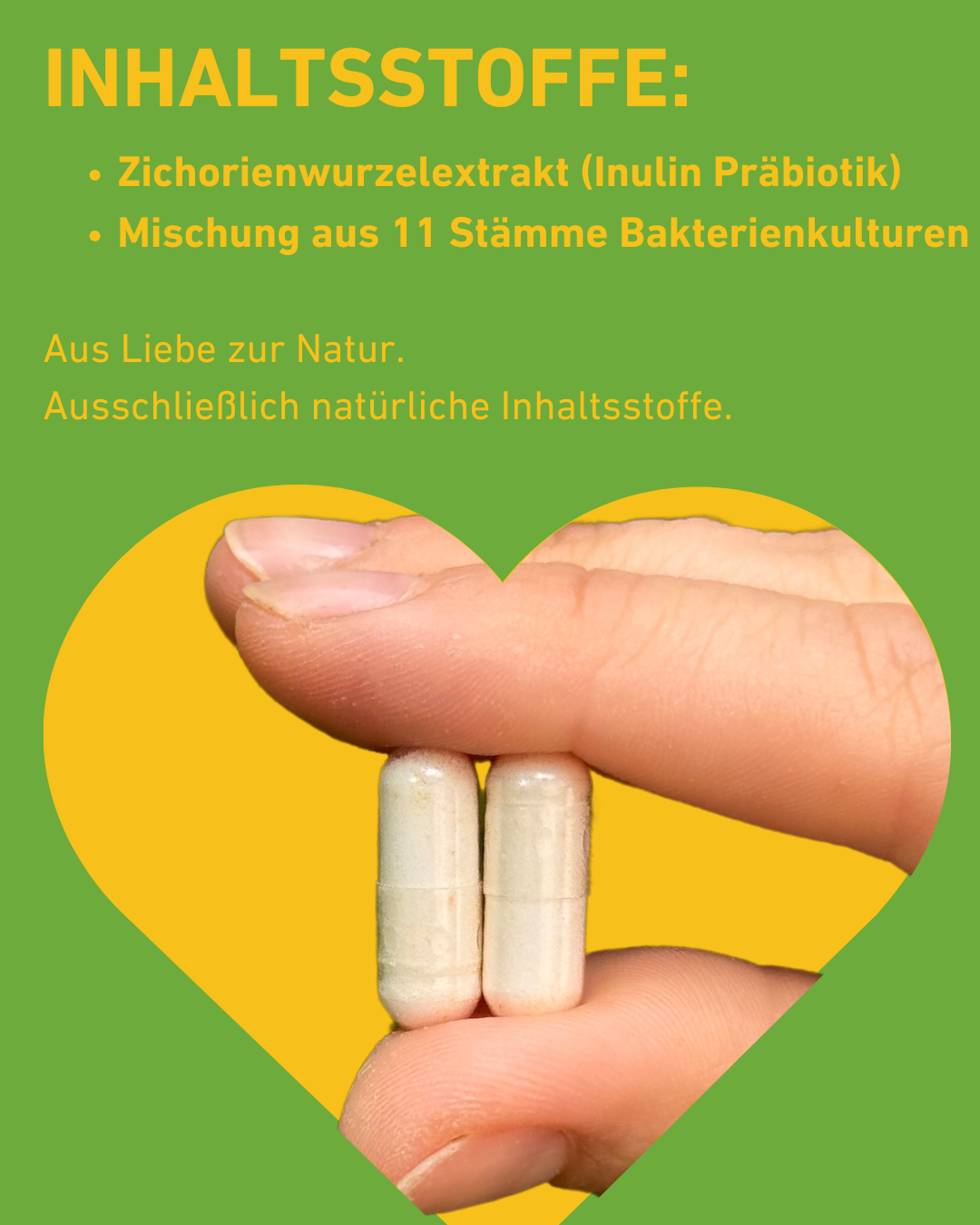 Probiotika Kapseln Synbiotik Inulin Nahrungsergänzung Supplement für Gesundheit Verdauung und Darmflora – natürlich, effektiv, Immunsystem und Wohlbefinden, Hochwertige Kapseln Mikrobiom, Balance, Blähungen, Gesundheit, Supplement, Nahrungsergänzungsmittel, Inhaltsstoffe, natürliche Inhaltsstoffe 
