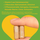 Abwehrkraft Kapseln  Stärkung der Abwehrkräfte - Kräuter und Vitamine für ein starkes Immunsystem, 
Vitamin C aus Calciumascorbat, Mineralien: Natriumselenit, Zinkcitrat, Pflanzenextrakte: Astragalus, Granatapfel, Holunder Beeren, Cistus, Schisandra, Adaptogen, Supplement, Apothekenqualität, Hochdosiert, Immunsystem Booster, Power, Gesundheit, regional, Österreich, Apotheke, Immunität, Inhaltsstoffe, Pflanzenextrakte