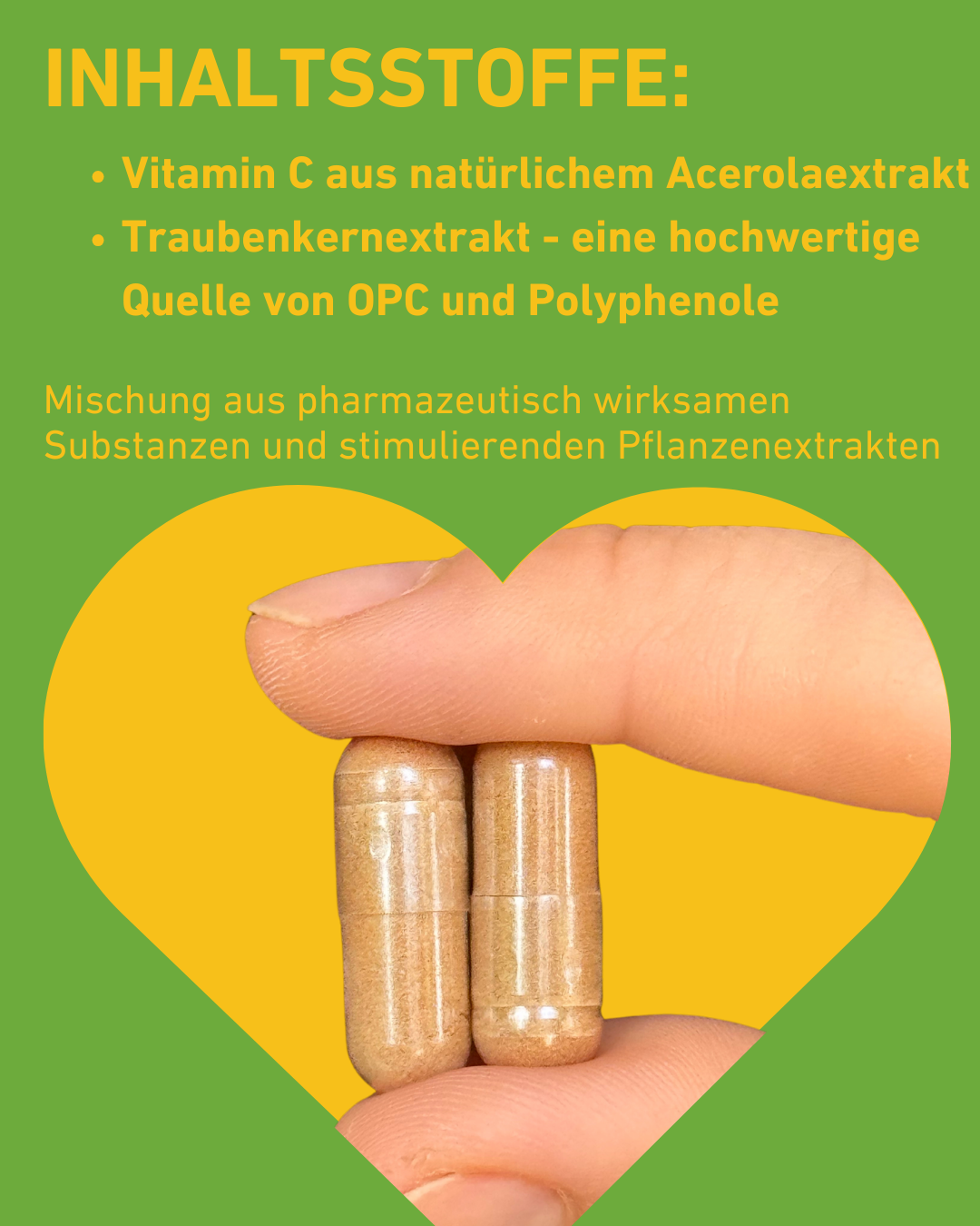 Bestes OPC Produkt, Nahrungsergänzung, Kapsel, Vitamin C. Anti Aging, Herz Kreislauf, Traubenkerne, Antioxidativ, Schutz, Maximale Wirkung, Vorteile, Immunsystem, Hautpflege, Gefäßgesundheit, Supplement, Gesundheit, Inhaltsstoffe, Liste Inhaltsstoffe, Polyphenole, Acerola, Acerolaextrakt, stimulierende Pflanzenextrakte