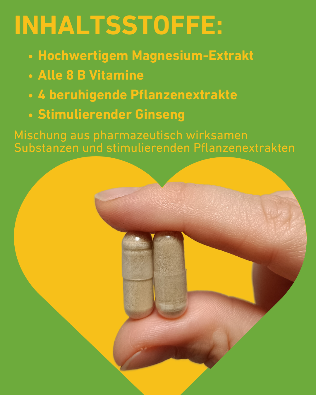 Für Deine Nerven, hochdosierte Kapsel, Nahrungsergänzungsmittel mit Ginseng und Vitamin B12 für Energie und Fokus, Ginseng und Vitamin B Komplex für Nervenstärke und Stressabbau, Nervensystem, Energie, Erschöpfung, Konzentration, Wirkung, beruhigende Heilkräuter wie Baldrian, Hopfen, Kamille und Lavendel, Supplement, Gesundheit, Inhaltsstoffe, Pflanzenextrakt