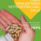 Lebergesundheit Supplement Kapseln mit Artischockenextrakt, Mariendistel, Löwenzahnwurzel  und Antioxidantien zur Unterstützung der Leberfunktion und Entgiftung, Lebergesundheit, Entgiftung, Detox, Schutz, Lebererkrankungen, Wermut, Cholin, Apothekenqualität, Hochdosiert, Wirkung, Supplement, Apotheke, Regional, Österreich, Gesundheit, Qualitätsversprechen, studienbasiert, Einnahme, Produktdetails, Einnahmetipps, Wohlbefinden, Galle