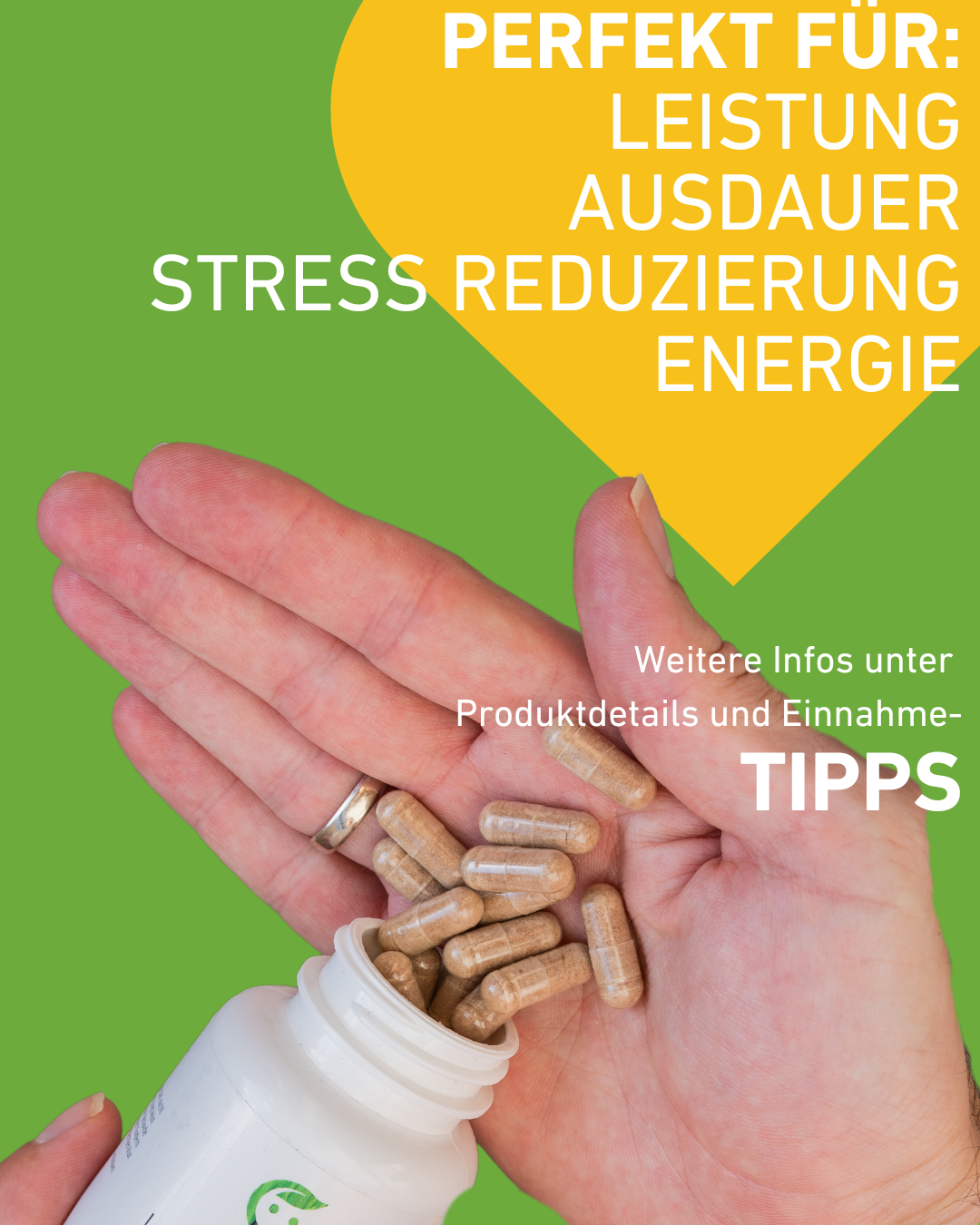 Maca Wurzel Pulver, Kapseln für natürliche Energie und Vitalität,  Unterstützt körperliche Leistungsfähigkeit und hormonelle Balance, für Männer Libido und Potenz, Wohlbefinden, Energielieferant, Förderung körperlichen Ausdauer, Kraft und mentalen Klarheit, Stimmung, Energiebooster, Hochdosiert, Apothekenqualität, Supplement, Gesundheit, Apotheke, Einnahme, Ainnahmetipps, Produktdetails, stress, ausdauer