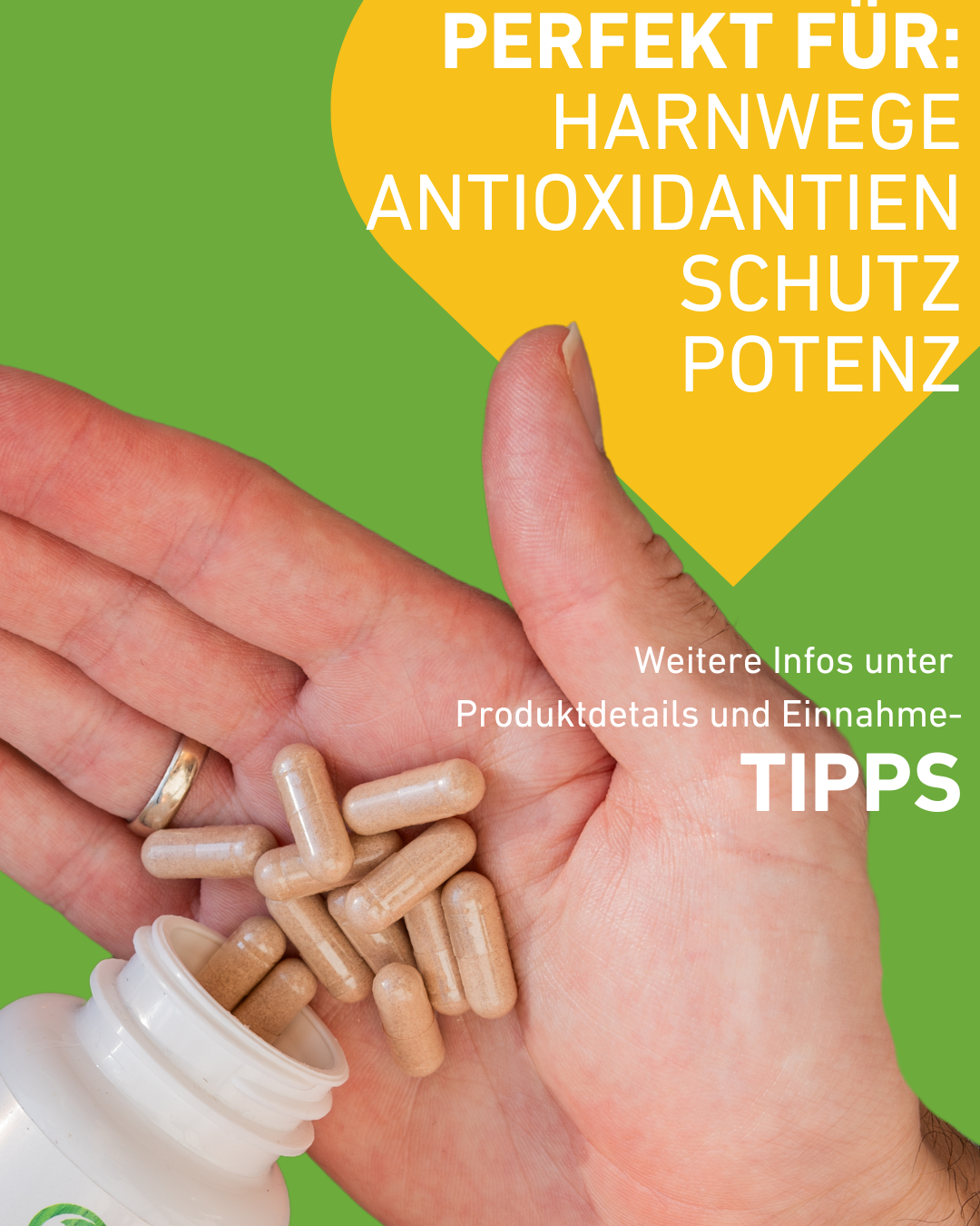 Prostata Kapseln zur Unterstützung der Prostatagesundheit bei Männern, 
 Blase und Reduzierung nächtlicher Toilettengänge, Selen, Spermabildung bei, Lycopin, OPC Polyphenole, Beta-Sitosterol aus reinen Pflanzenextrakten, Entzündungshemmend, Saw Palmetto, Sägepalme, Prostatahyperplasie, Apothekenqualität, Supplement, Hochdosiert, Apotheke, Qualität, regional, Inhaltsstoffe, Pflanzenextrakte, Österreich, Einnahmetipps, Produktdetails, Einnahme, Potenz, Schutz, Harnwege