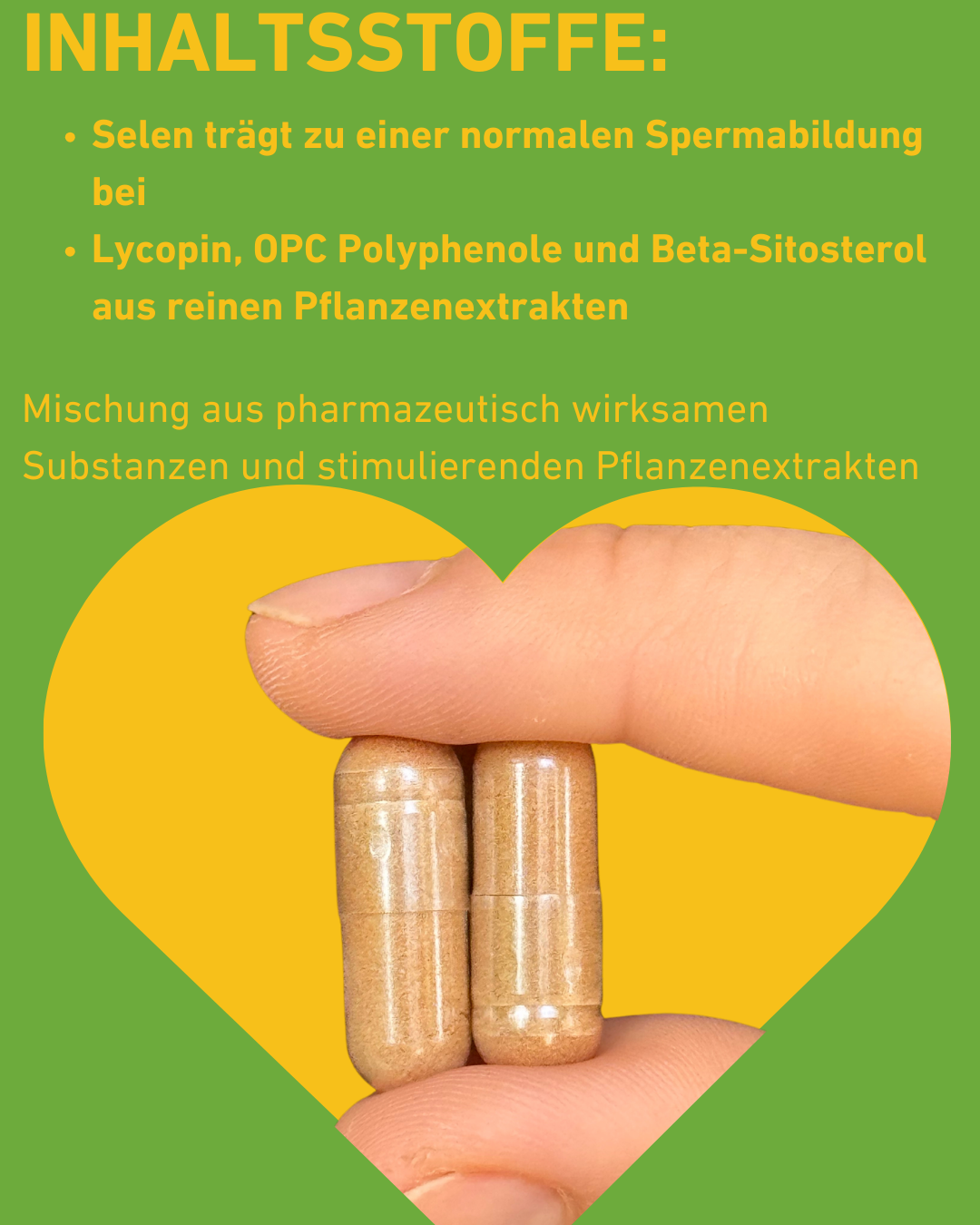 Prostata Kapseln zur Unterstützung der Prostatagesundheit bei Männern, 
 Blase und Reduzierung nächtlicher Toilettengänge, Selen, Spermabildung bei, Lycopin, OPC Polyphenole, Beta-Sitosterol aus reinen Pflanzenextrakten, Entzündungshemmend, Saw Palmetto, Sägepalme, Prostatahyperplasie, Apothekenqualität, Supplement, Hochdosiert, Apotheke, Qualität, regional, Inhaltsstoffe, Pflanzenextrakte, Österreich