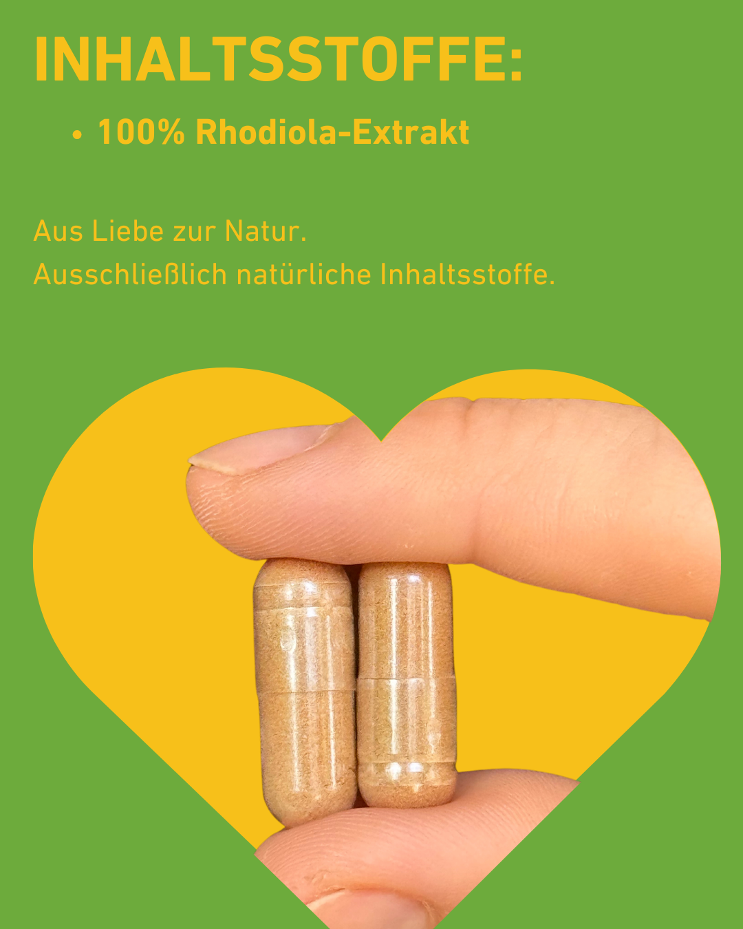 Rhodiola Kapseln gegen Stress, natürliche Nahrungsergänzungsmittel, Adaptogene für mentale Gesundheit, Goldene Wurzel Vorteile, Müdigkeit bekämpfen, Stressmanagement und Energie, Fokus, Ausdauer, kaufen, Stress, Gesundheit, Supplement, Inhaltsstoffe, Rhodiola Extrakt,   natürliche Inhaltsstoffe, reine Extrakte