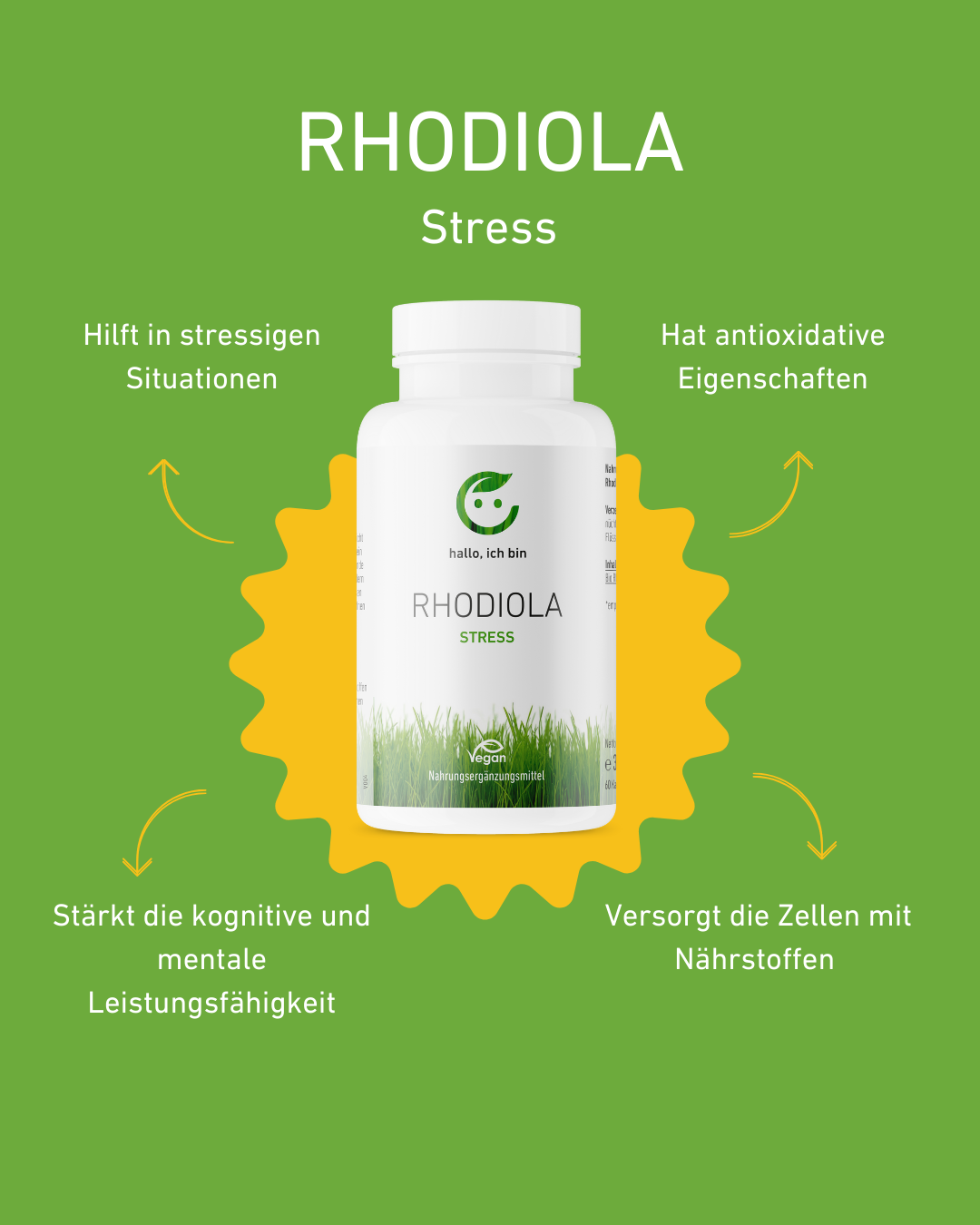 Rhodiola Kapseln gegen Stress, natürliche Nahrungsergänzungsmittel, Adaptogene für mentale Gesundheit, Goldene Wurzel Vorteile, Müdigkeit bekämpfen, Stressmanagement und Energie, Fokus, Ausdauer, kaufen, Stress, Gesundheit, Supplement, Inhaltsstoffe, Rhodiola Extrakt,   natürliche Inhaltsstoffe, reine Extrakte. Qualität, Österreich, mentale Leistung, stressige Situation, antioxidativ