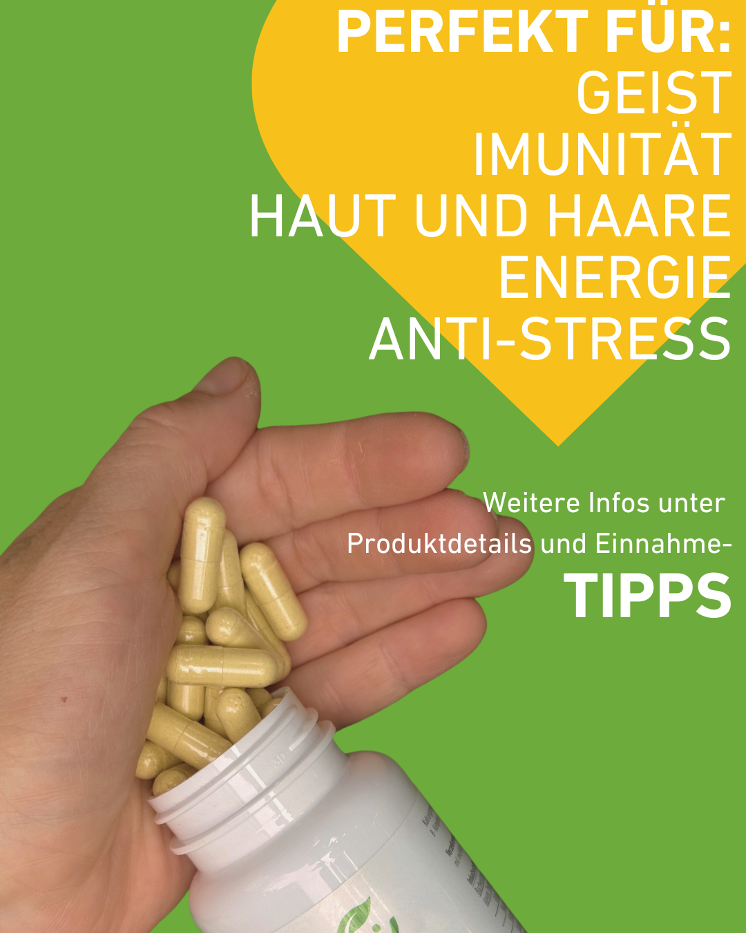 Vitamin B-Komplex Kapseln für Energie, Hautgesundheit und geistige Leistung, 100% vegan und ohne Zusatzstoffe, Nerven, Müdigkeit, alle B vitamine, B1, B2, B3, B5, B5, B7, B9, B12, buchweizenkeim, vegan, vegetal, antistress, psyche, apothekenqualität, hochdosiert, supplement, Apotheke, Qualität, vegan, österreichische Wertschöpfung, Pflanzenextrakte, regional, Österreich, Psyche, Leistungsfähigkeit, Müdigkeit, Ermüdung, Energiestoffwechsel, Einnahmetipps, Produktdetails, Einnahme