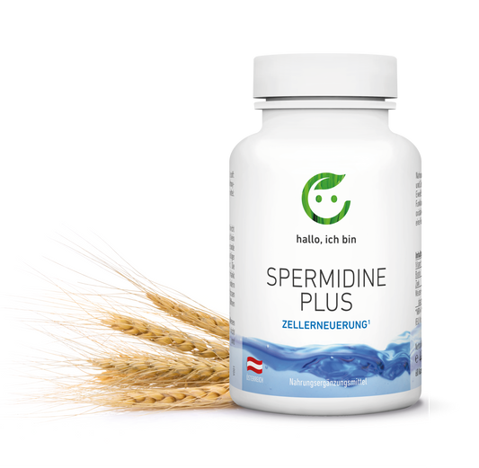 Spermidine Plus